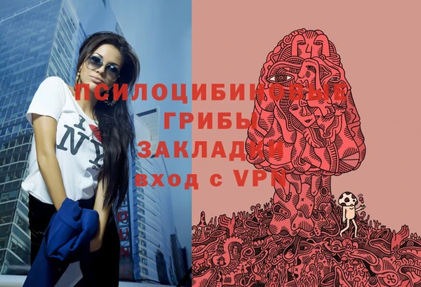 а пвп мука Алзамай