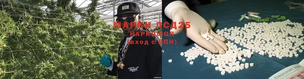 а пвп мука Алзамай